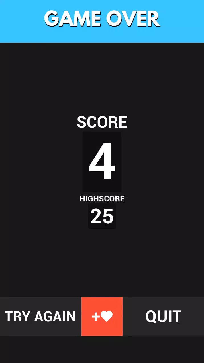 FLAG GUESSER应用截图第3张