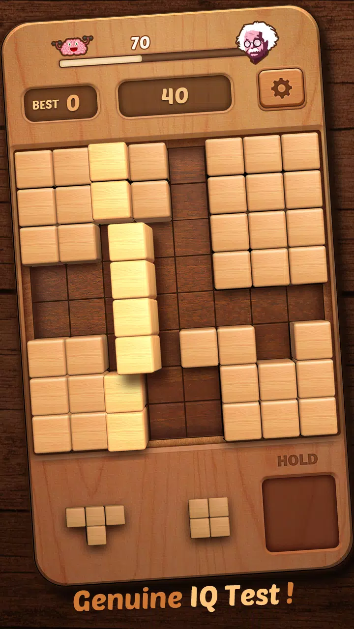 Wood Block Puzzle 3D应用截图第4张