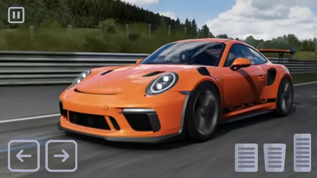 Racing Porsche Carrera 911 GT3 स्क्रीनशॉट 1