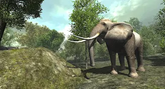 VR ZOO Safari Park Animal Game Screenshot 4