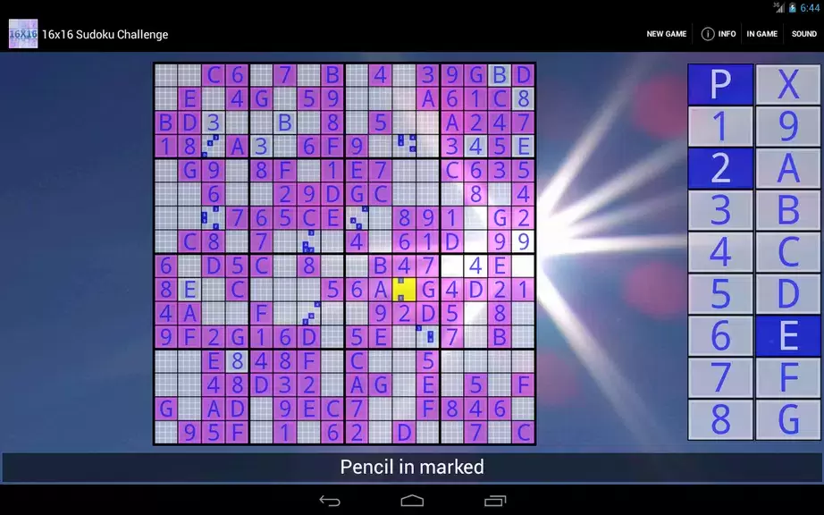 16x16 Sudoku Challenge HD 스크린샷 3