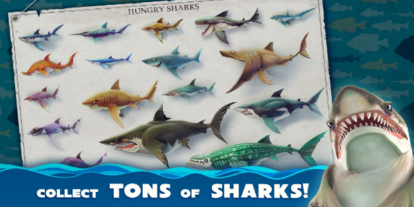 image: Hungry Shark World Accessories