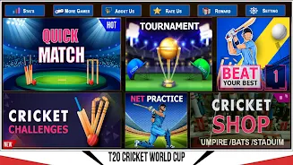 Indian Cricket Championship应用截图第4张