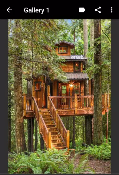 Treehouse Captura de tela 3