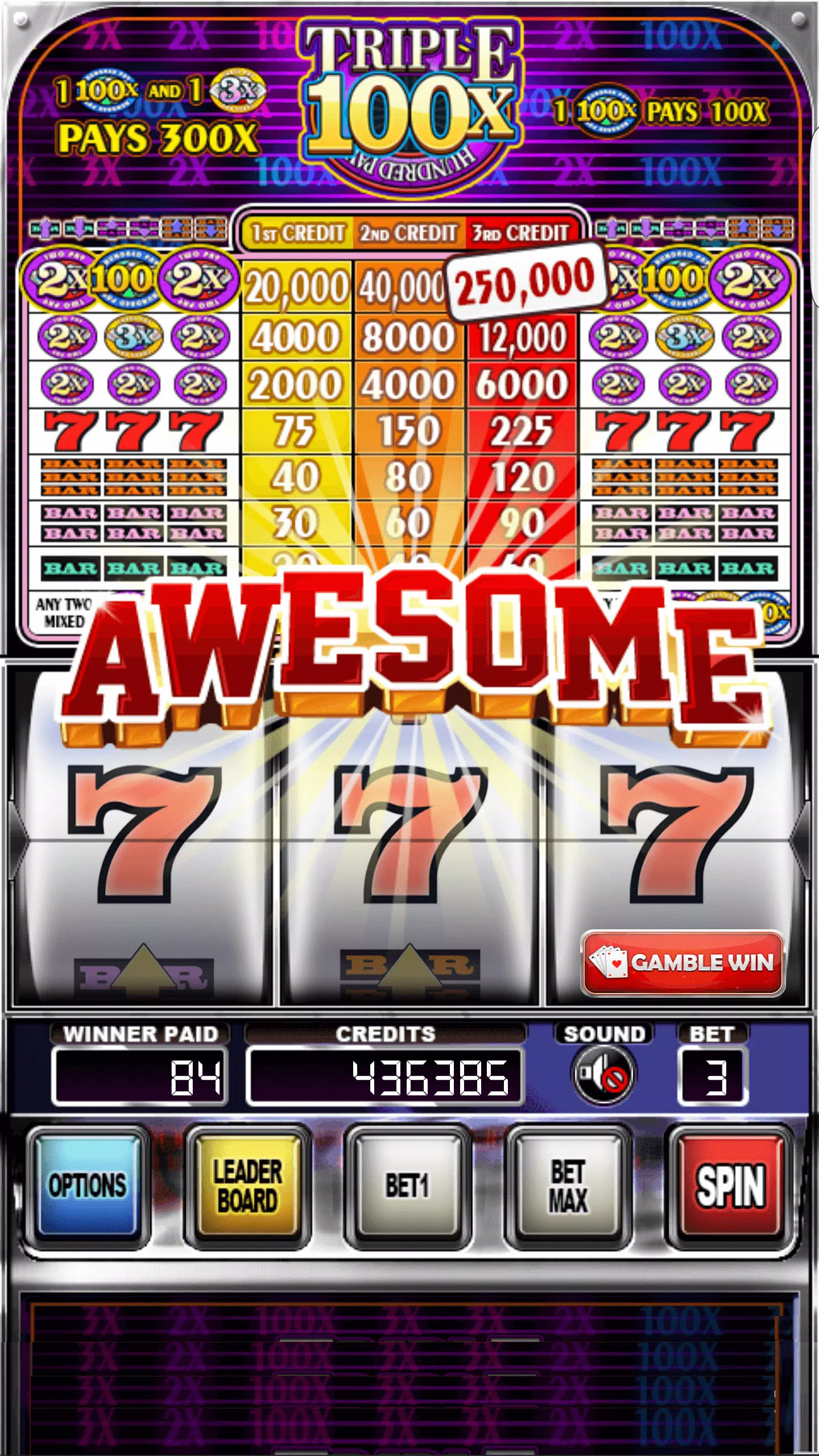 Double Wild Slots スクリーンショット 3