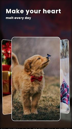 Puppy Love: Cute Dog Wallpaper Screenshot 3