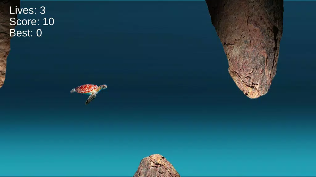 Turtle Run: Ocean Adventure Zrzut ekranu 3