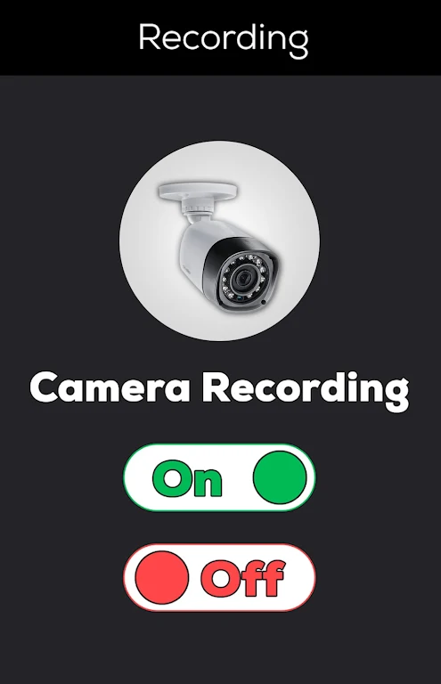 Schermata CCTV Camera Recorder 1