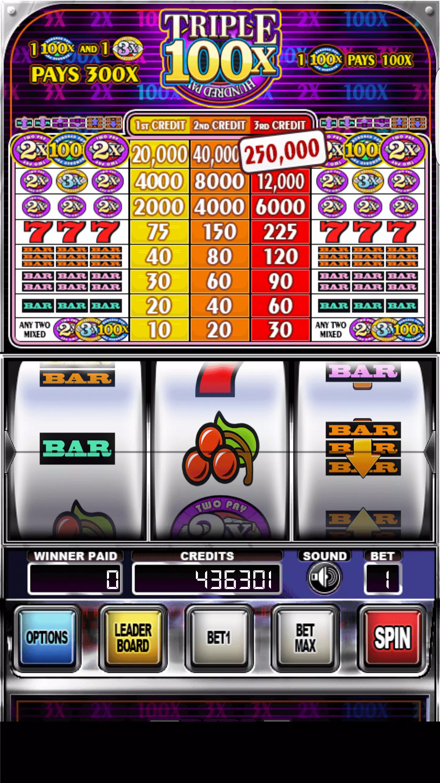 Double Wild Slots Capture d'écran 1