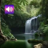 Rainforest: Sounds & Ringtones