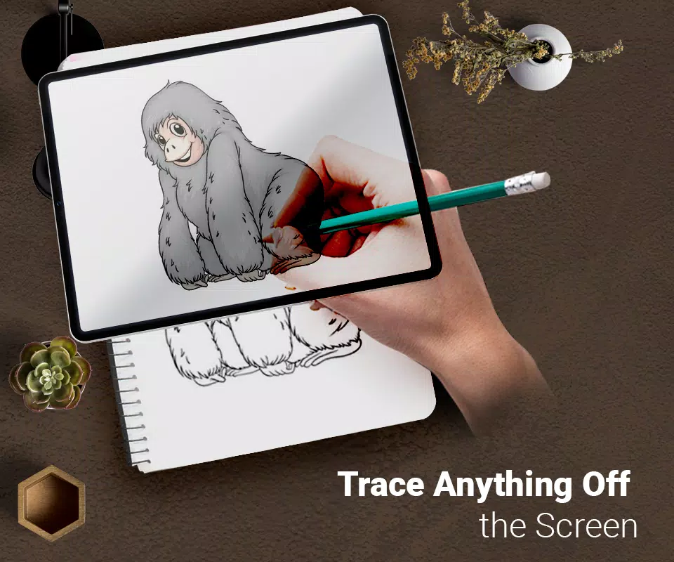 Draw : Trace & Sketch Скриншот 1