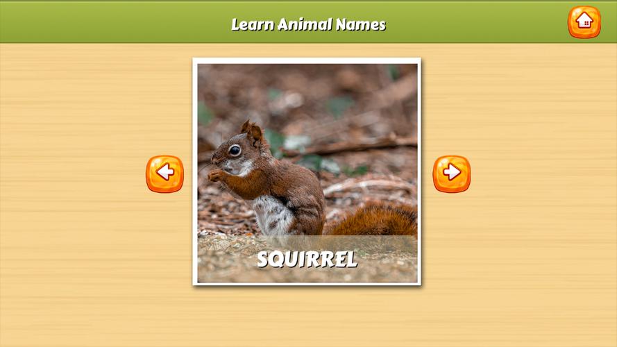 Learn Animal Names Screenshot 1