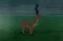 來自Rune Slayer的鹿