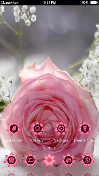 Pretty Pink Rose Theme Captura de pantalla 3