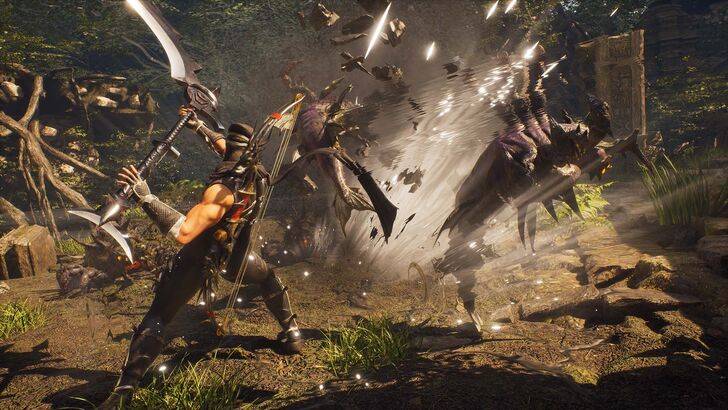 Ninja Gaiden 2黑色：權威版