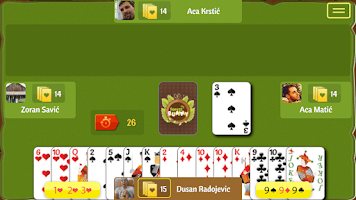 Forest Rummy Captura de tela 2