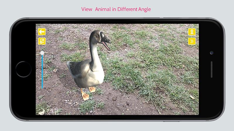 Animal in Ar Screenshot 3