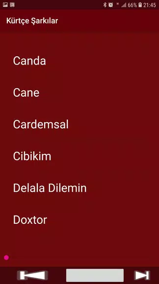 Yeni Kürtçe Şarkılar (İnternetsiz) Captura de pantalla 2