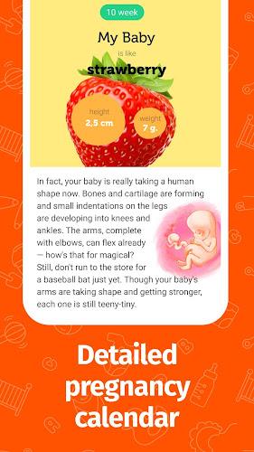 Schermata Pregnancy App and Baby Tracker 3