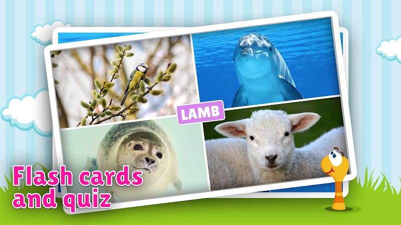 Animal flashcard & sounds Captura de pantalla 2