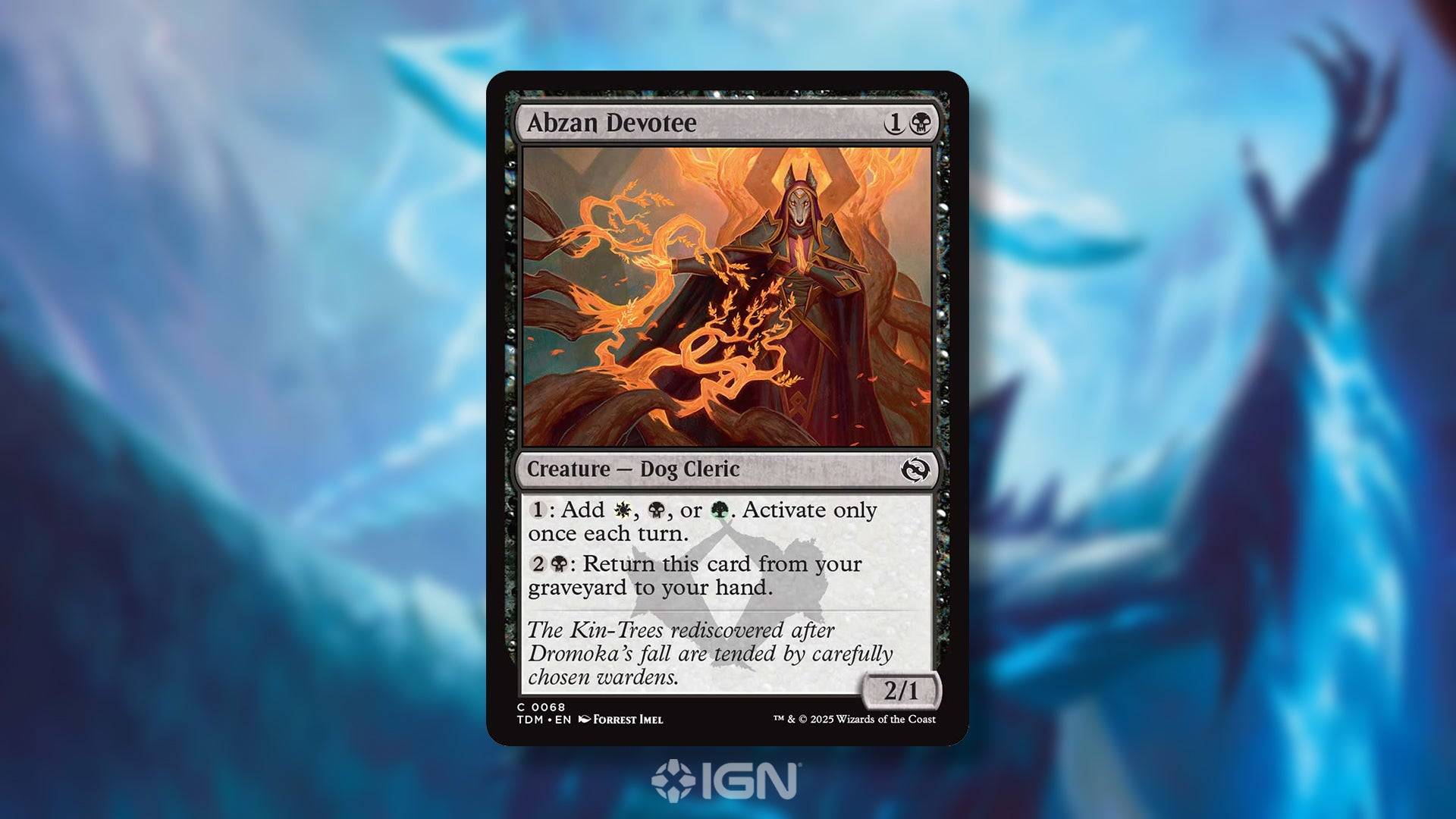 塔基尔（Tarkir）的新卡片：龙风暴