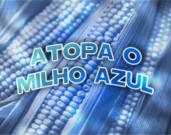 Atopa o Milho Azul Captura de pantalla 1