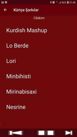 Yeni Kürtçe Şarkılar (İnternetsiz) Captura de pantalla 4