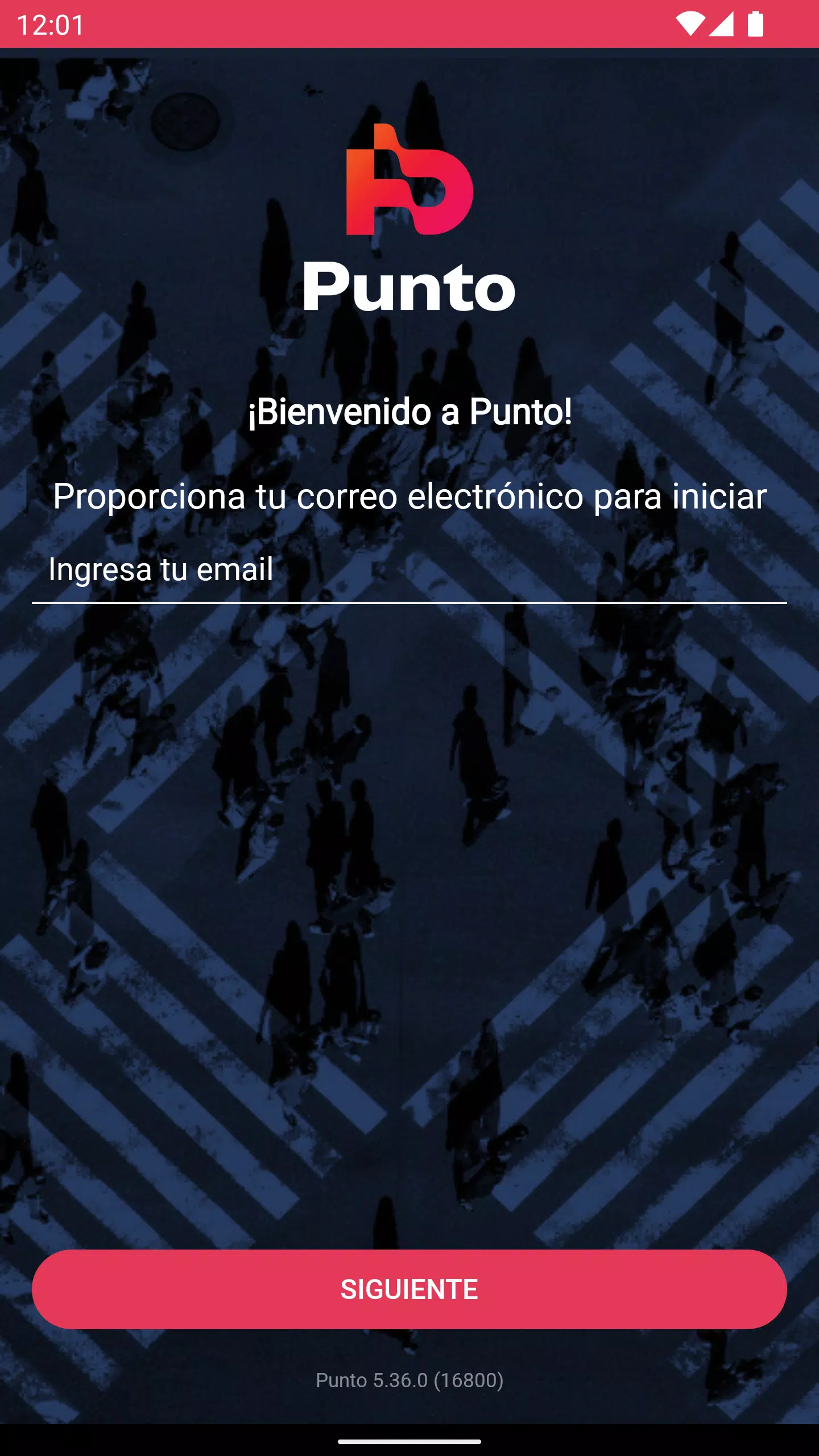 Punto Captura de tela 1