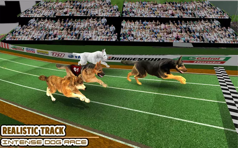 Dog racing games - dog game 3d应用截图第1张