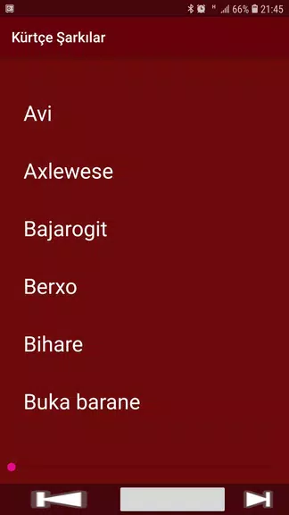 Yeni Kürtçe Şarkılar (İnternetsiz) Captura de pantalla 1