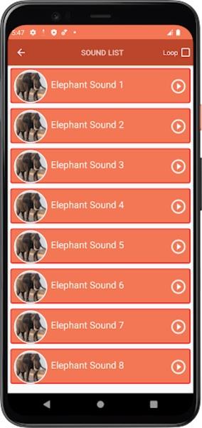 Elephant Sounds應用截圖第1張