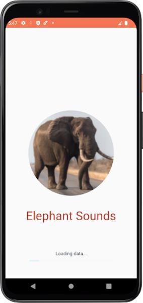 Elephant Sounds應用截圖第3張