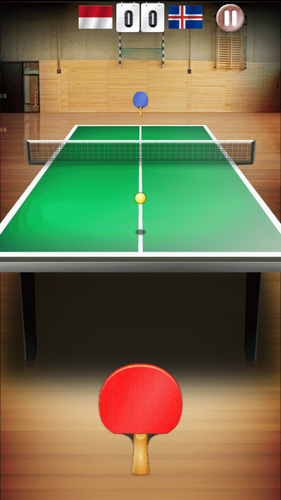 Table Tennis World Tour Screenshot 4