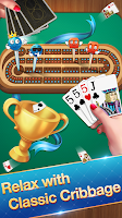 Cribbage - Card Game ဖန်သားပြင်ဓာတ်ပုံ 2