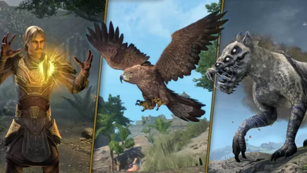 Les sous-classes en ligne des échecs de l'Elder viennent après 11 longues années de fans qui le demandaient