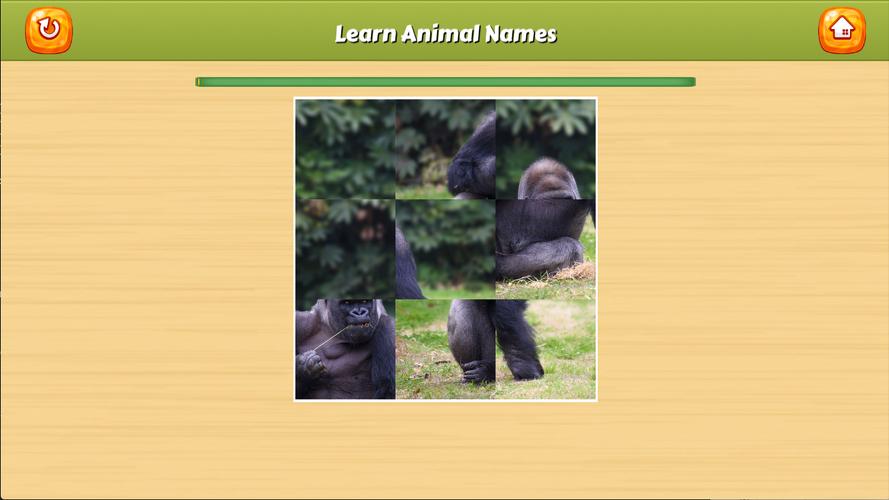 Learn Animal Names Screenshot 4