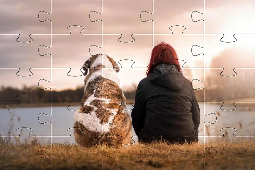 Jigsaw puzzle without internet 스크린샷 4