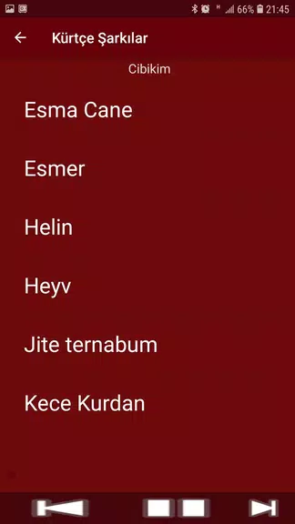 Yeni Kürtçe Şarkılar (İnternetsiz) Captura de pantalla 3