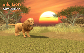 Wild Lion Simulator 3D Скриншот 1