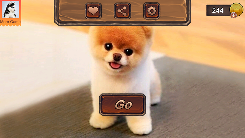 Pomeranian Dog Simulator Screenshot 1