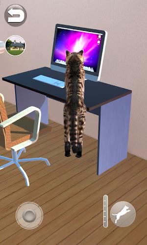 Talking Reality Cat Captura de tela 4