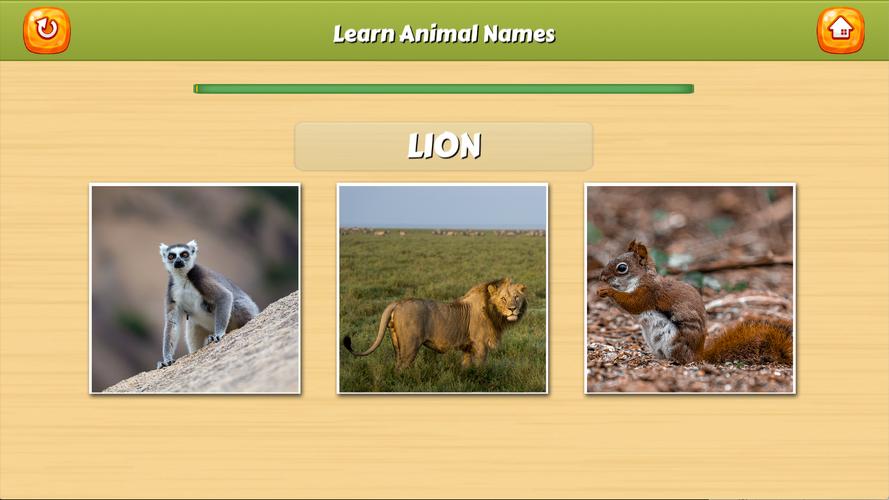 Learn Animal Names Screenshot 3