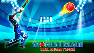 World Real IPL Cricket Games Ảnh chụp màn hình 3