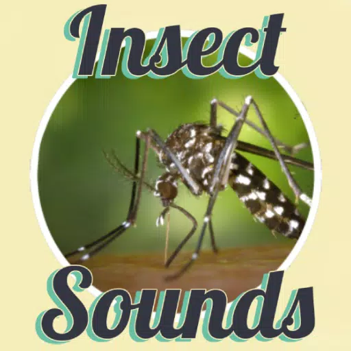 Insect Sounds