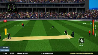 World Real IPL Cricket Games Ảnh chụp màn hình 1