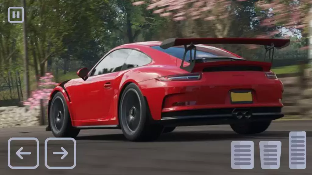 Racing Porsche Carrera 911 GT3 स्क्रीनशॉट 4