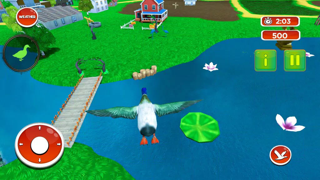 Talking Duck Bird game Screenshot 3