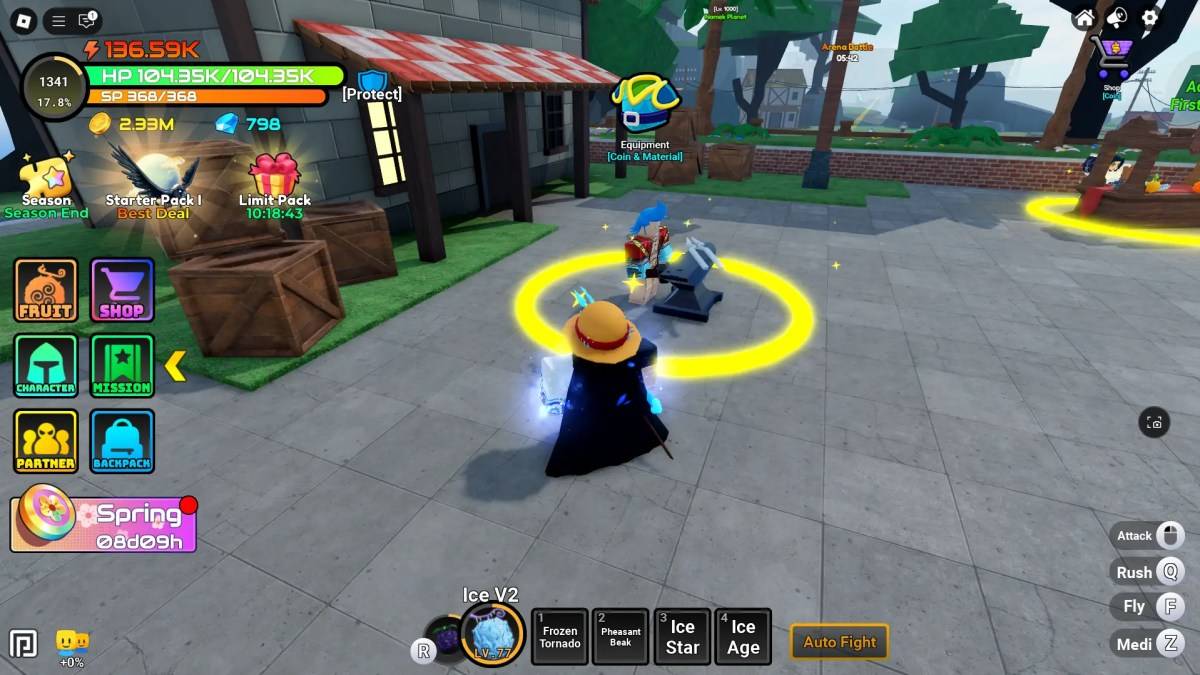 애니메이션 과일에서 장비 NPC의 위치를 ​​보여주는 플레이어