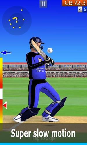 Smashing Cricket Скриншот 1