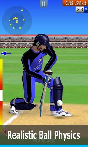 Smashing Cricket Скриншот 3